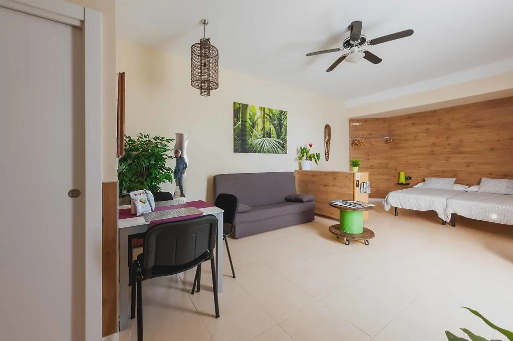 Daire Homey Apartamentos Guipuzkoa Zarautz İspanya